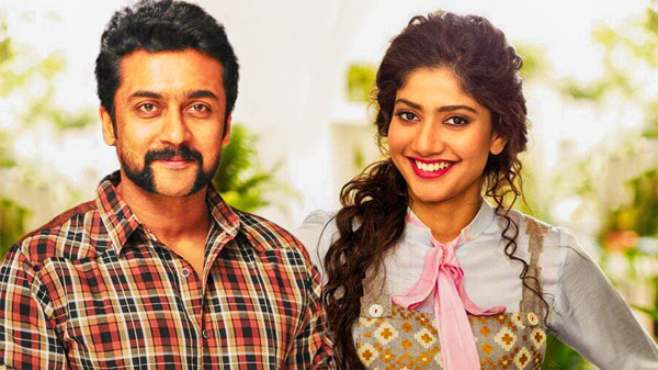 suriya,sai pallavi,premam,premam fame sai pallavi,sai pallavi loves suriya  పెళ్ళైన హీరోను ప్రేమిస్తున్న 'ప్రేమమ్' భామ!